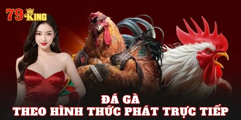 Đá gà theo hình thức phát trực tiếp